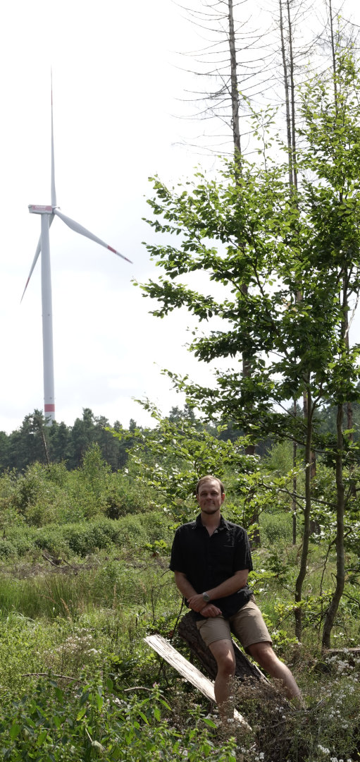 Windenergie und abgestorbener Wald bei Roßdorf